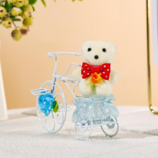 Cycle with Teddy - Valentine Gift