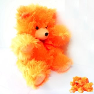 Soft Teddy Bear - Small