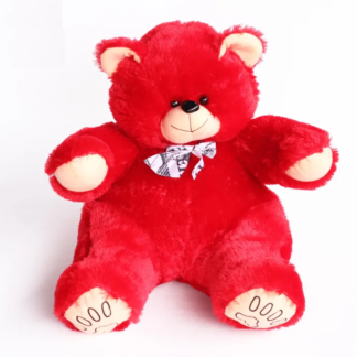 Soft Teddy Bear - Large