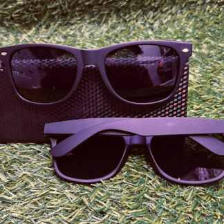 NYS Ray Sunglasses - Copy